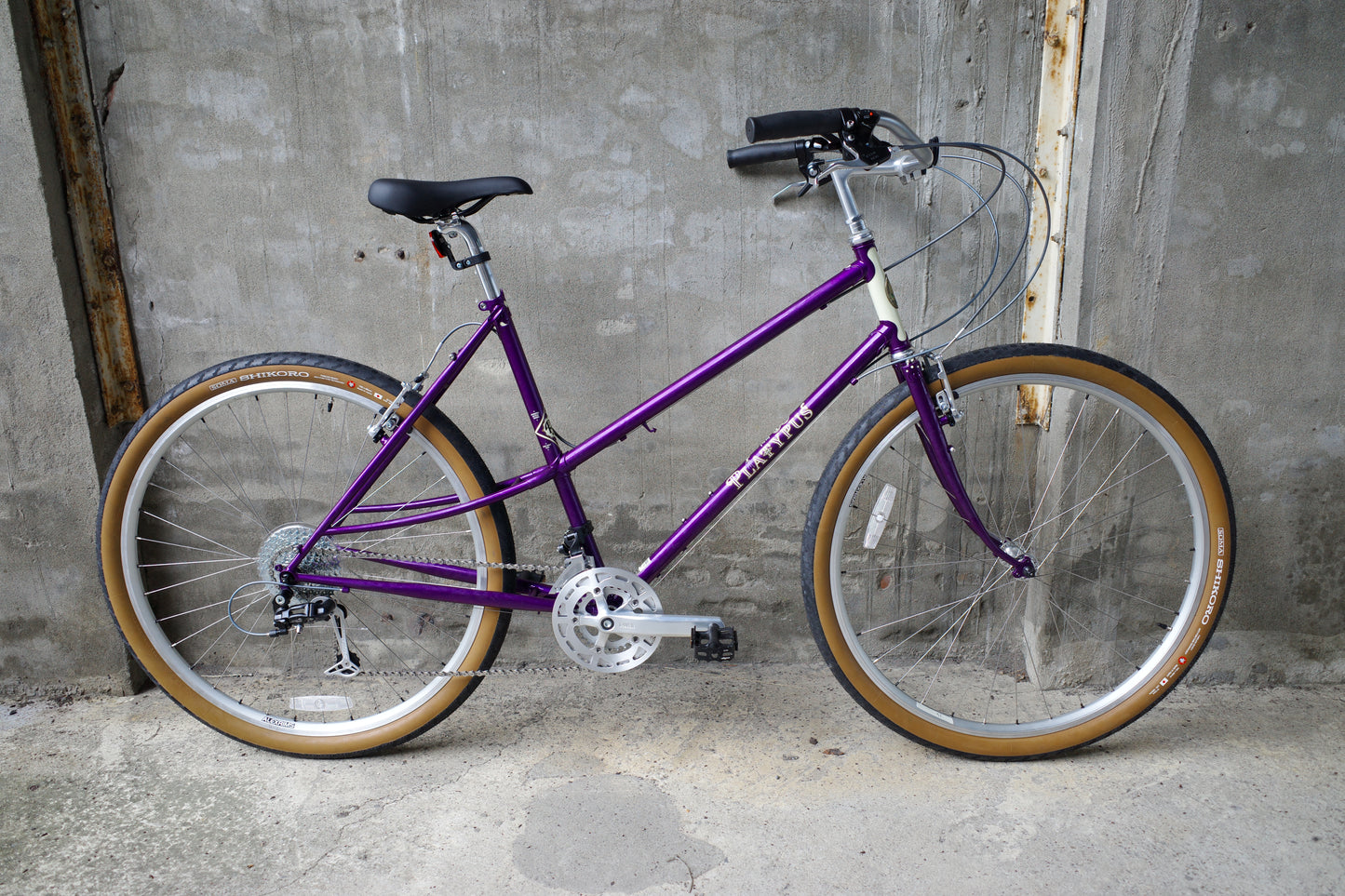Platypus Complete Bike